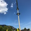 Maibaum 2019